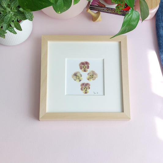 Herbier minimaliste réalisé avec des fleurs de pensées délicatement disposées et sublimées par un passepartout haut de gamme.  Cadeau Noel. Décoration bureau. Décoration chambre enfant. 