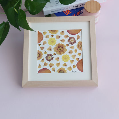 Herbier fleurs séchées fait avec des primevères  multi couleurs. 