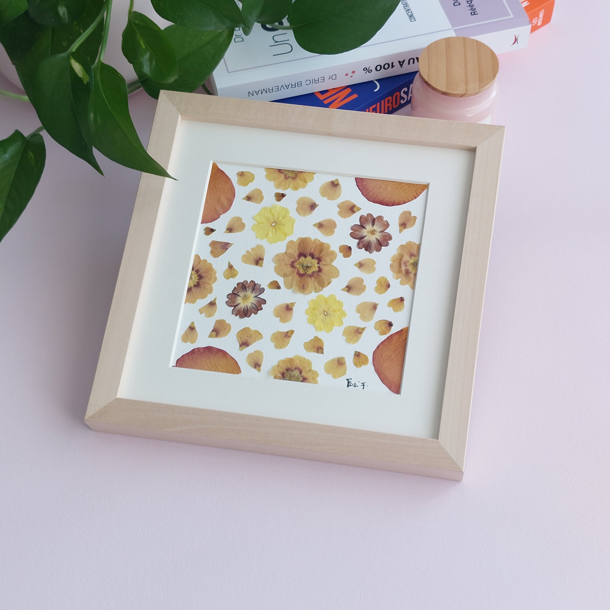 Herbier fleurs séchées fait avec des primevères  multi couleurs. 