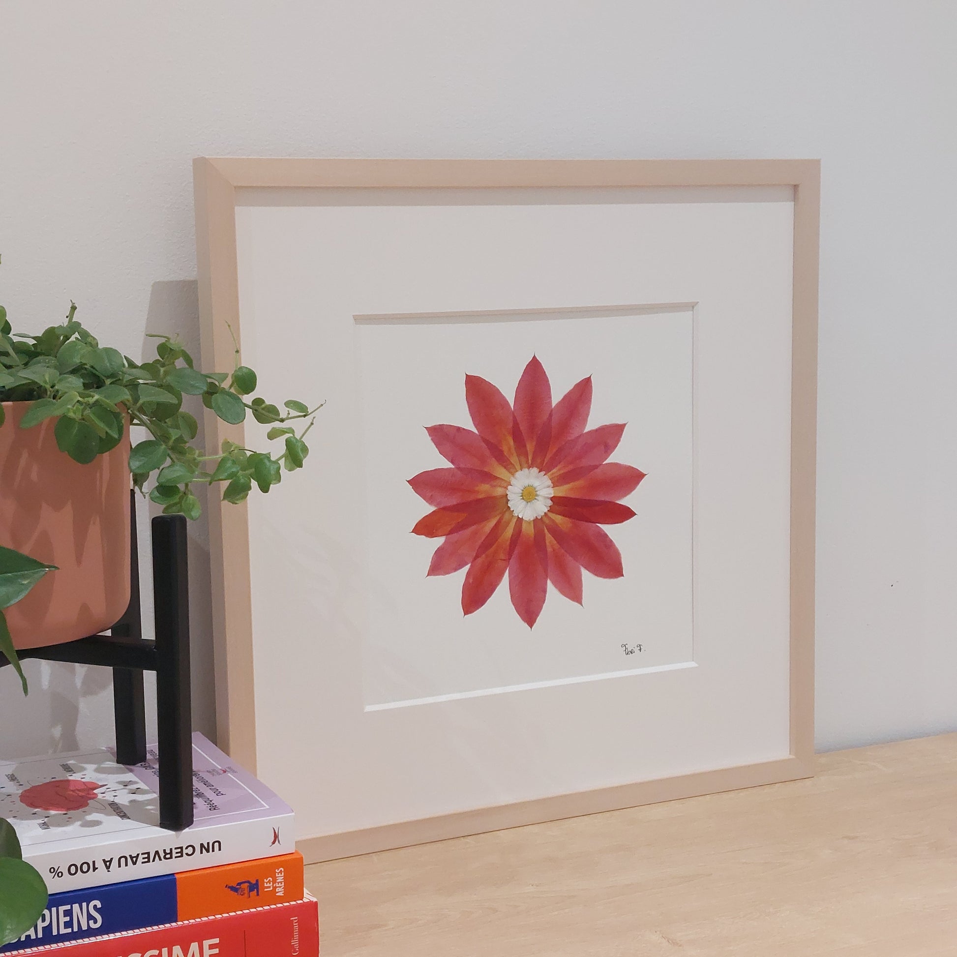 Herbier d’art encadré – LE CADEAU IDÉAL POUR LA FÊTE DES MÈRES !
Élégance et douceur se rencontrent dans cette création au format 40x40 cm, composée d'un cactus rouge et une marguerite anglaise.  Un tableau floral rare, sublimé par un passepartout haut de gamme. 