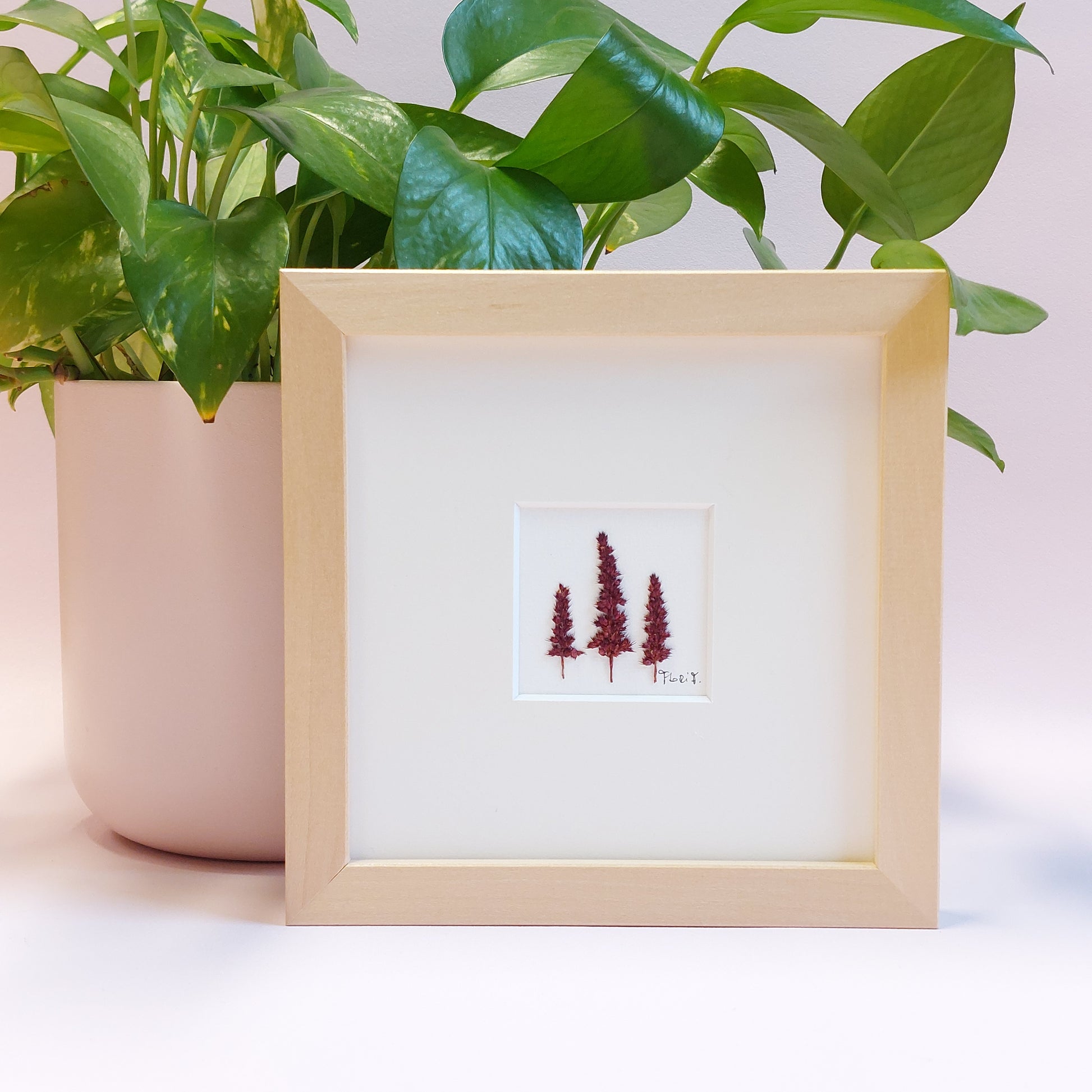 Herbier d'art fait avec des branches d'Amaranthus Rouge de provenance locale. Composition florale minimaliste. 