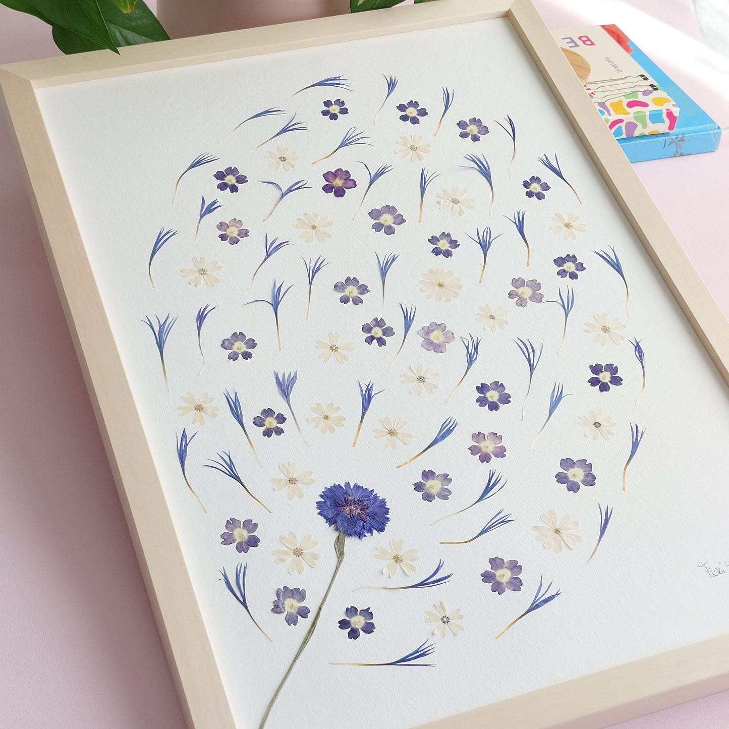 Herbier d'art encadré de la collection Les Expressifs, composé de fleurs de verveine, phlox blanc et pétales  de bleuets sauvages. Les végétaux sont pressés et séchés naturellement pour préserver leur délicatesse. Présenté dans un cadre en bois de tilleul éco-responsable. Pour une conservation optimale, évitez l'exposition directe au soleil ou à l'humidité. Usage exclusivement visuel, reproduction interdite.