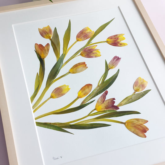 Gros plan d'une œuvre d'art florale encadrée écoresponsable, faite avec des tulipes naturelles de provenance locale.