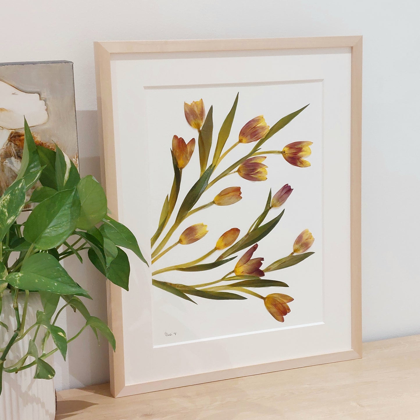 Œuvre d'art florale encadrée écoresponsable, faite avec des tulipes naturelles de provenance locale.